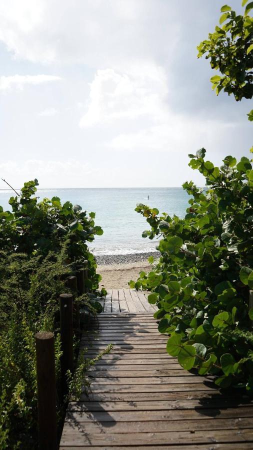 Coqui Beach Home, Culebra 库莱布拉 外观 照片