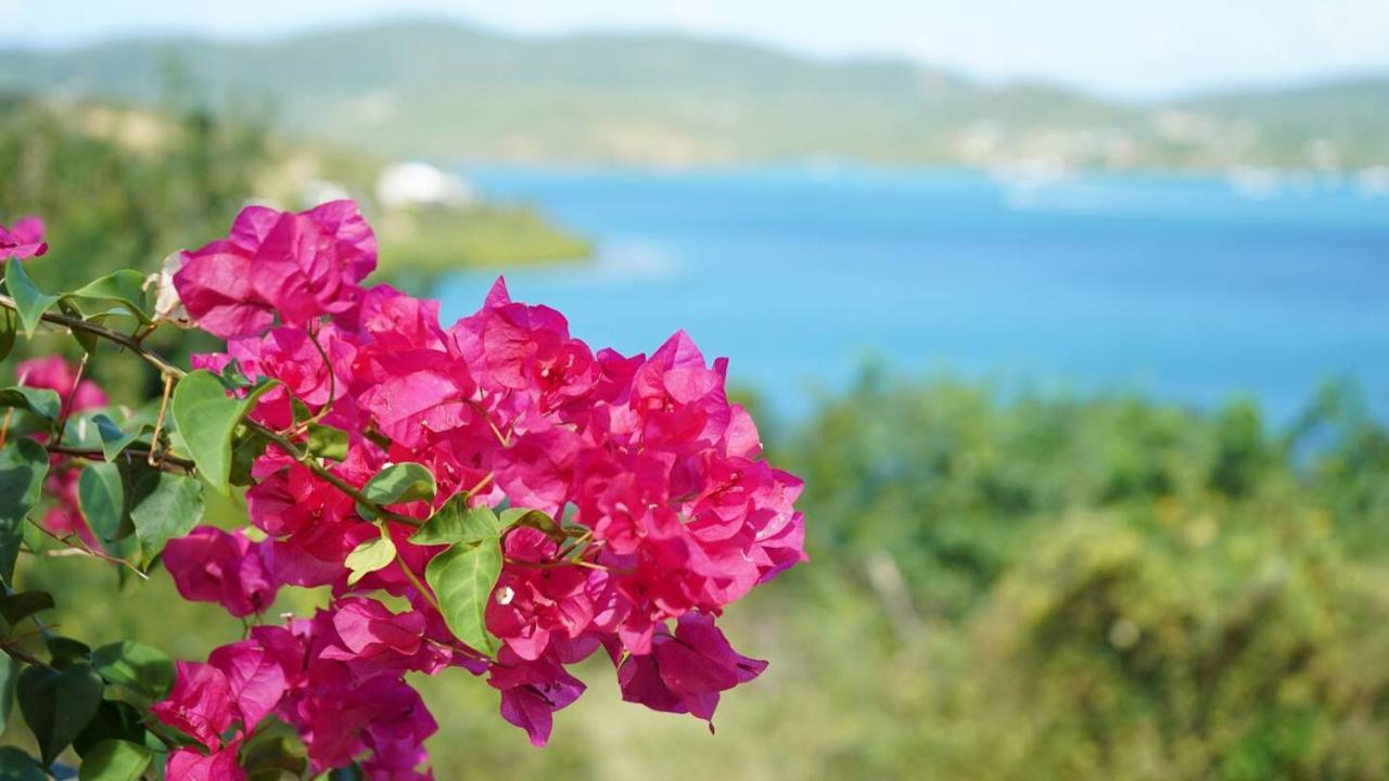 Coqui Beach Home, Culebra 库莱布拉 外观 照片