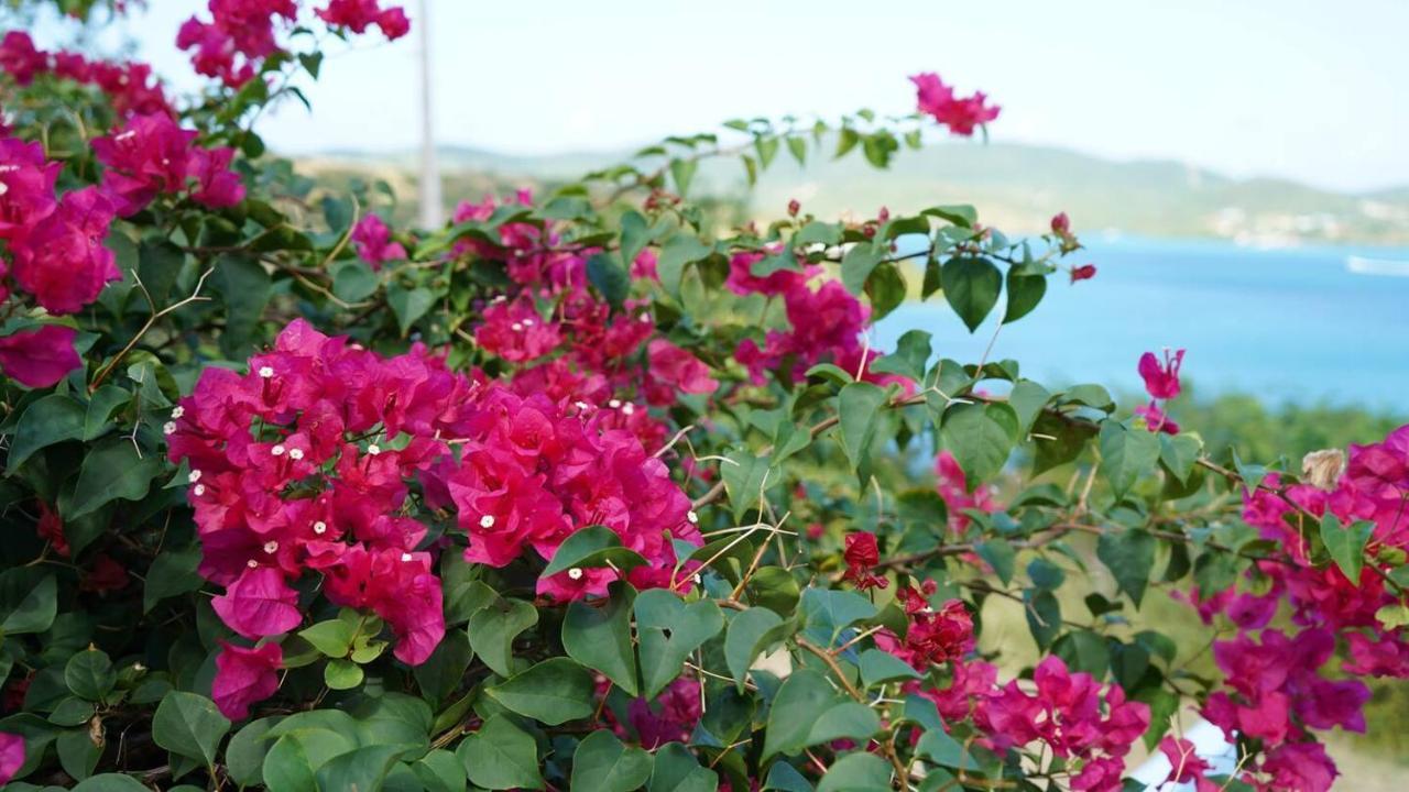 Coqui Beach Home, Culebra 库莱布拉 外观 照片