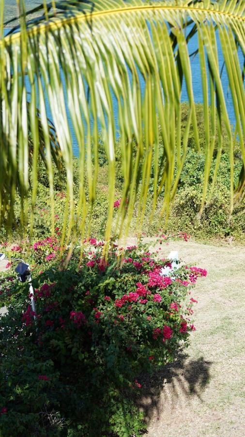 Coqui Beach Home, Culebra 库莱布拉 外观 照片