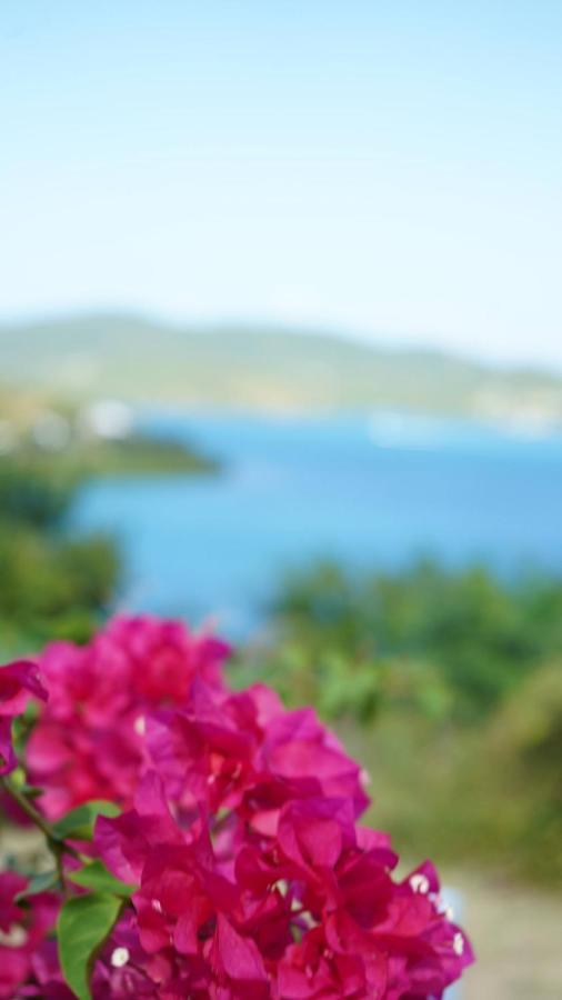 Coqui Beach Home, Culebra 库莱布拉 外观 照片