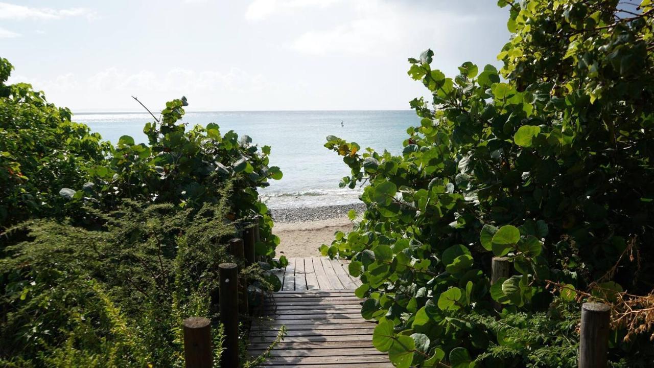 Coqui Beach Home, Culebra 库莱布拉 外观 照片