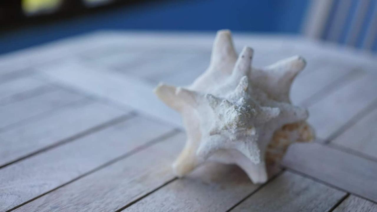 Coqui Beach Home, Culebra 库莱布拉 外观 照片